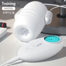 트레이닝 월 (WHORL)