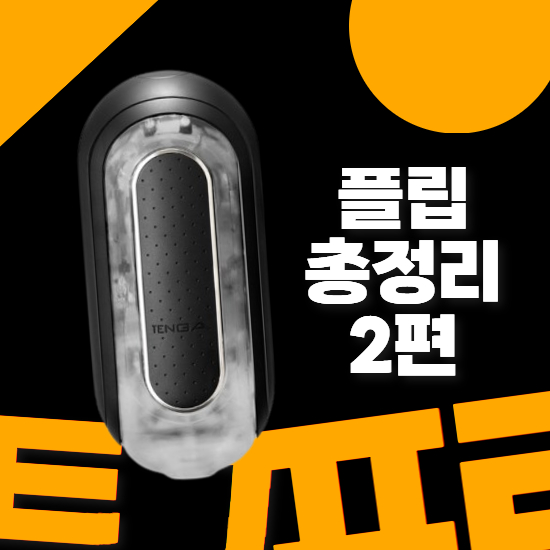 텐가 플립 시리즈 총정리 2편 후기 및 리뷰