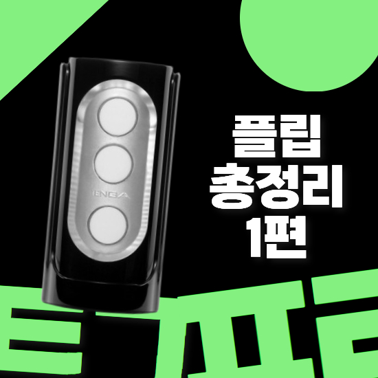 텐가 플립 시리즈 총정리 1편 (플립홀 제로 그래비티 오브)