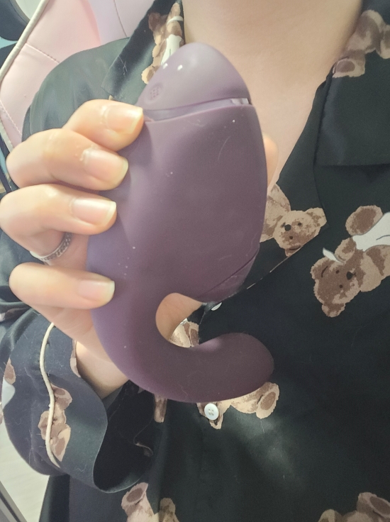 성인용품 마스터의 우머나이저 넥스트듀오 후기