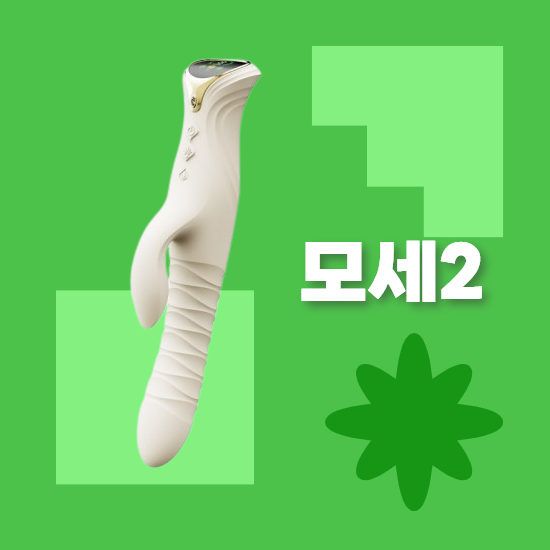 잘로 모세 추천하는 이유 (모세2)